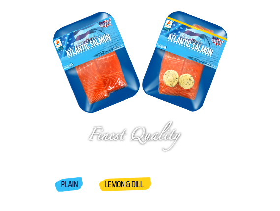 atlantic salmon
